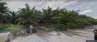 Agricultural Land in Jasin, MLK