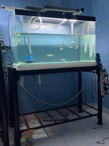 set tank 3kaki