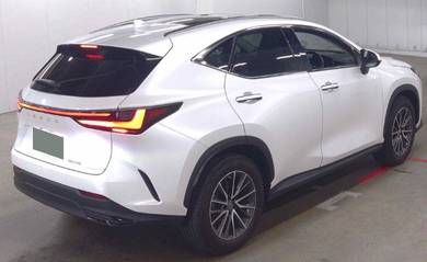 Lexus NX 250 BASE GRADE in City Centre, KUL