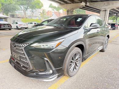 Lexus NX 250 LUXURY in Cheras, KUL