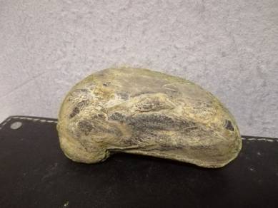 Rare stone with drawing of a Komodo Dragon