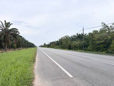 Agricultural Land in Tanjong Sepat, SGR