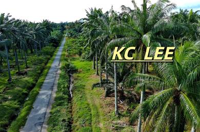 Agricultural Land in Sungai Jawi, PNG