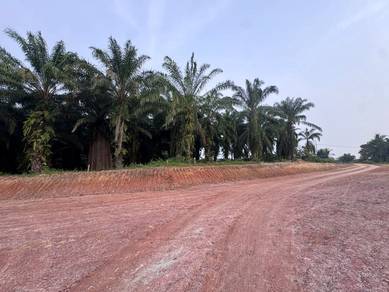 Mixed Development Land in Tawau, SBH
