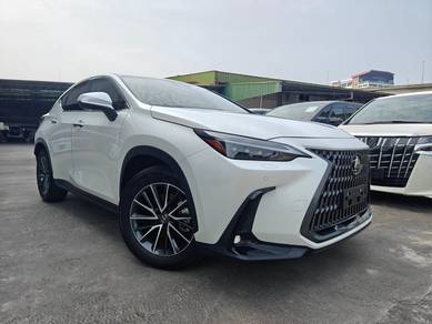 Lexus NX 250 LUXURY in Chan Sow Lin, KUL