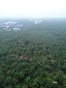 Industrial Land in Telok Panglima Garang, SGR