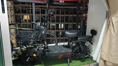 Scooter Electric 