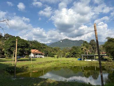 Agricultural Land in Tanjung Malim, PRK
