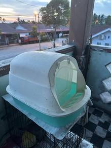 litter box