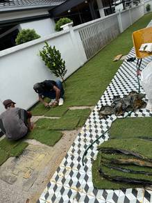 Supply rumput hidup/ carpet grass/ artificial turf