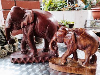 Elephants