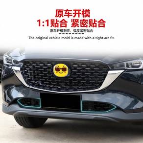 Mesh Grill Mazda CX5 radiator protection