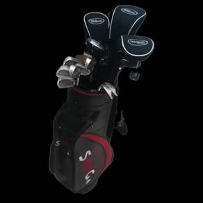 wilson golf set