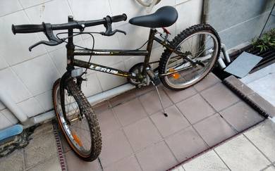 Bicycle - medium size