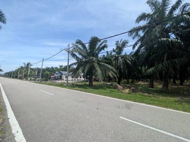 Agricultural Land in Banting, SGR