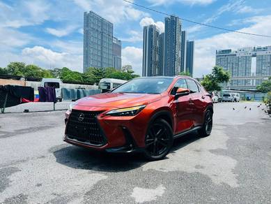 Lexus NX 250 LUXURY in Cheras, KUL
