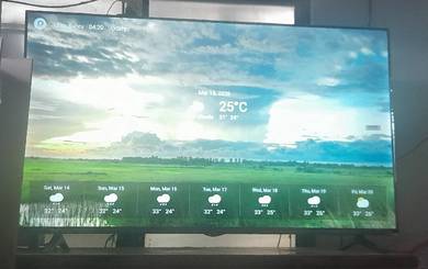 Tv Xiaomi 43inci 