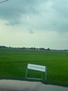 Agricultural Land in Tanjong Karang, SGR