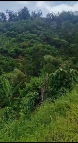 Agricultural Land in Karak, PHG