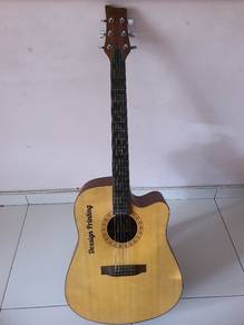 guitar RC Stromm 