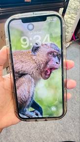 iphone 12 Pro max 128gb