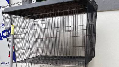 Sangkar Kucing