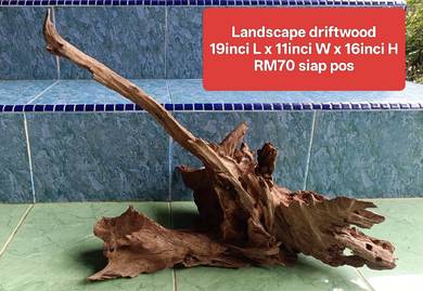 Airplants decor driftwood