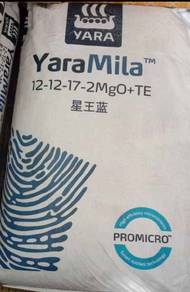 baja yara mila