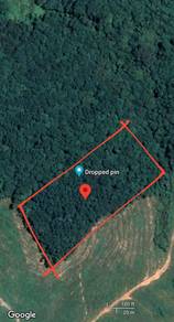 Agricultural Land in Slim River, PRK