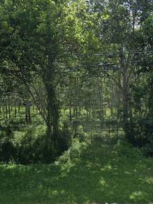 Residential Land in Jitra, KDH