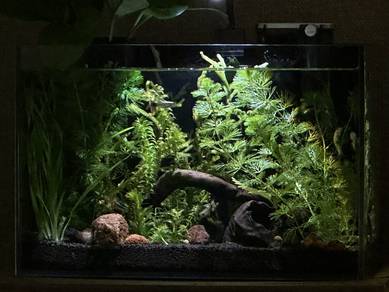 Super White Crystal Clear Aquarium