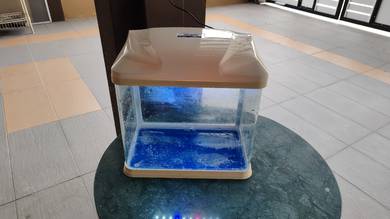 akuarium kecil