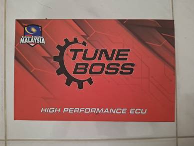 Ecu Tuneboss Stage 3 Lc135 V8 Fi
