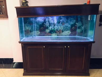 aquarium 5f