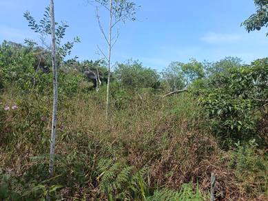 Others Land in Papar, SBH