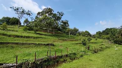 Agricultural Land in Seremban, NSN