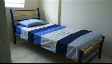 Rak Katil IMPORT Colourful - (Tanpa Tilam).