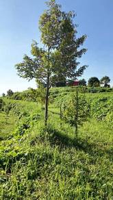 Agricultural Land in Others, SGR
