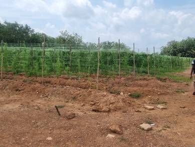 Agricultural Land in Sungai Petani, KDH