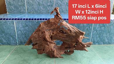 Driftwood hiasan berlubang bentuk rare 1piece