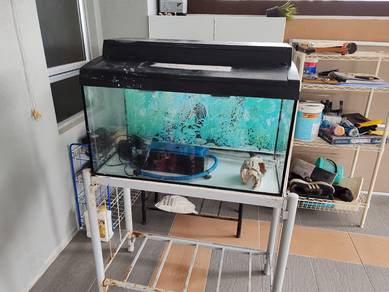 aquarium 2.5 feet