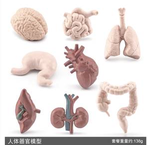 Children Toys Montessori mini simulation figurine