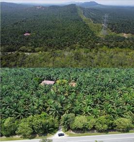 Agricultural Land in Batu Kikir, NSN