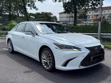 2021 Lexus ES 250 LUXURY