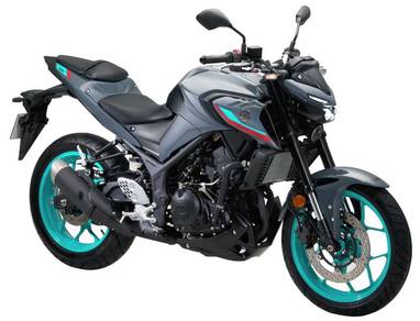 Yamaha MT250