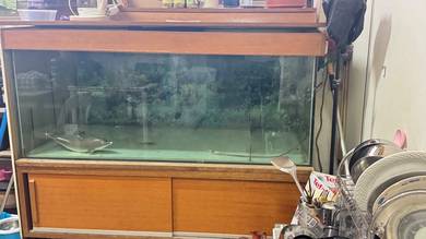 tempered glass aquarium