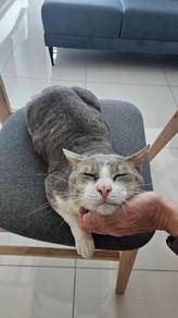 A loving home needed for this special boy❤️🐾