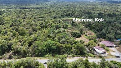 Agricultural Land in Kuching, SWK