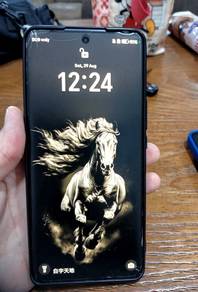 Honor x9b 5G