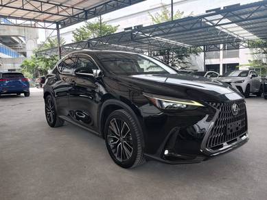 Lexus NX 250 LUXURY in Kayu Ara, SGR